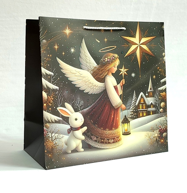 Пакет 20*20*10 Різдвяна історія